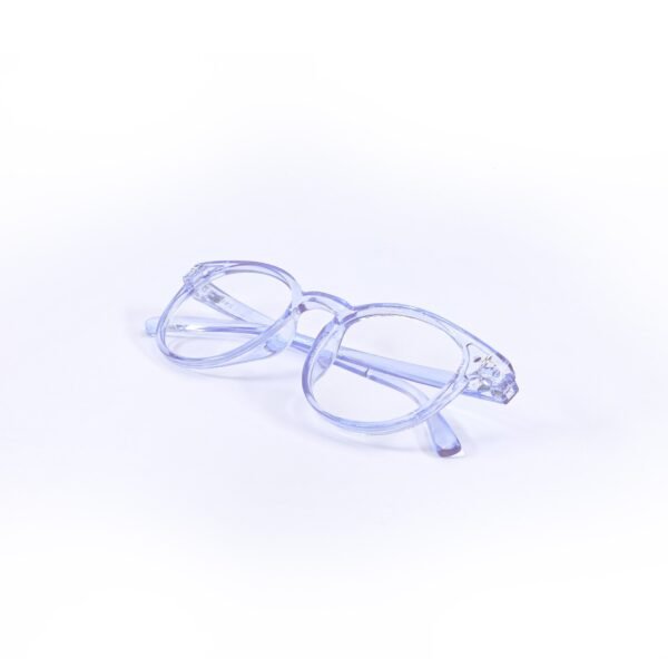 Blue Panto Round dailywear Eyeglasses-OscarEye