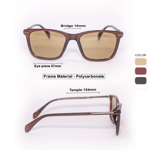 Brown wayfarer Dailywear Sunglasses